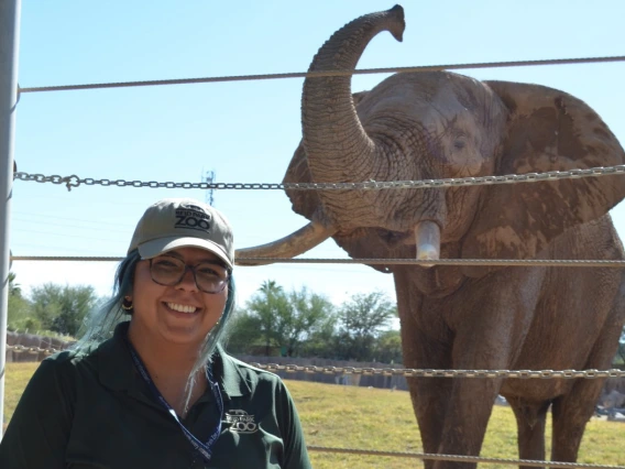 woman standing in front of elephant in zoo enclosure